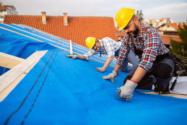 Best Roof Installation  in Redwood Valley, CA
