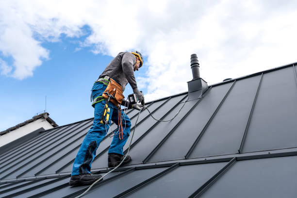 Best Roof Moss and Algae Removal  in Redwood Valley, CA